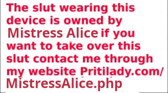  Plaque for Mistress Alice